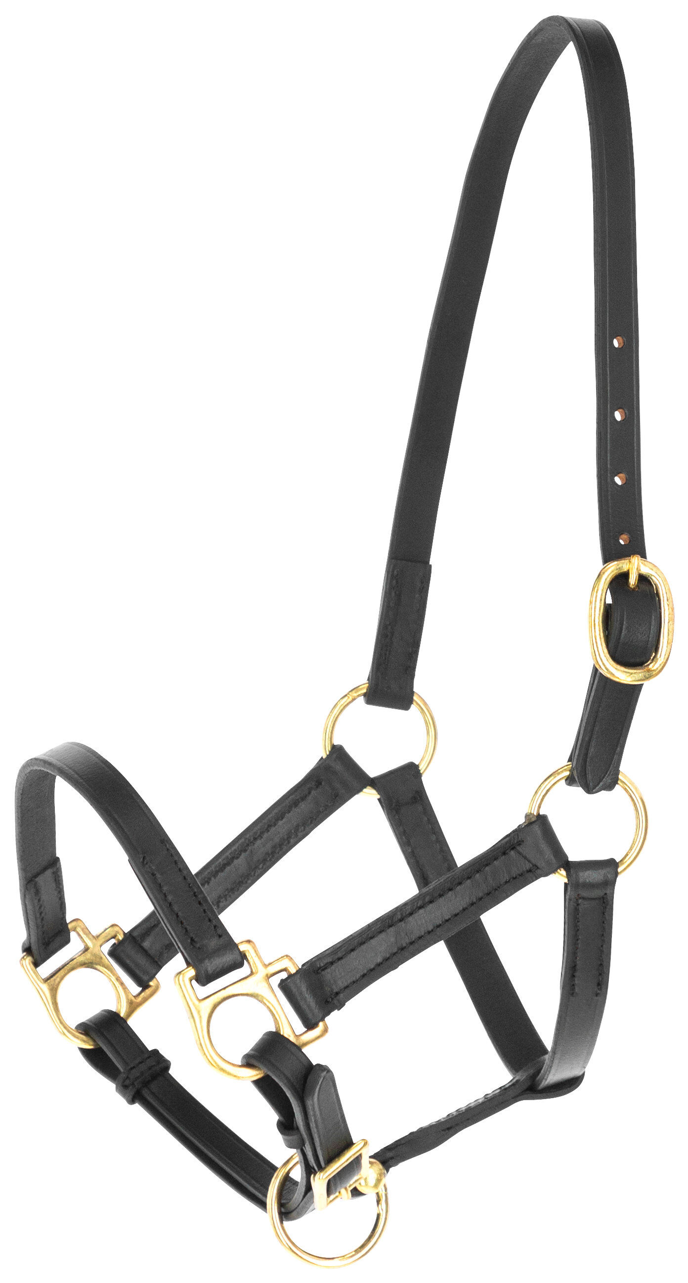 Kerbl - Licol poulain Eco cuir noir Image num&eacute;ro 1