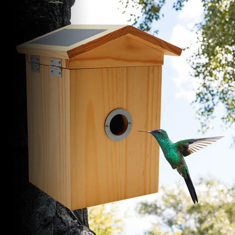 Croci - Nichoir Intelligent Wi Fi pour Oiseaux Image numéro 9 Croci - Nichoir Intelligent Wi Fi pour Oiseaux Image numéro 9