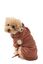 Bloob - Peignoir de bain Ours pour Chiens - M/35cm Indicateur image num&eacute;ro 3