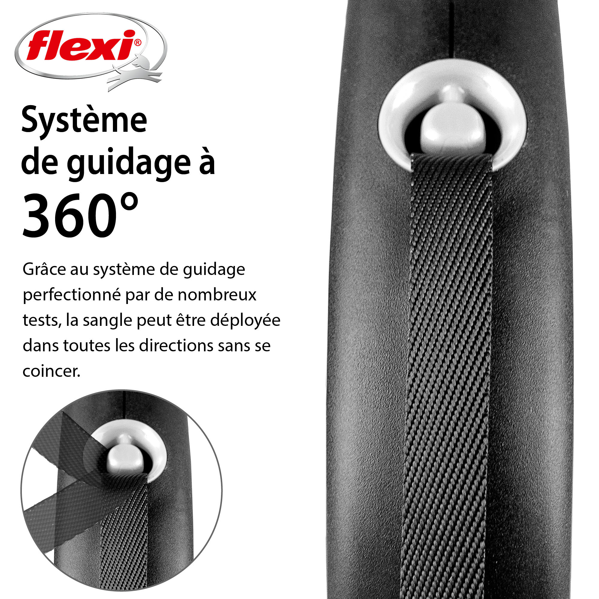 Flexi - Laisse &agrave; Enrouleur Black Design L Sangle pour Chiens - 5m Noir/Bleu Image num&eacute;ro 2
