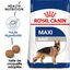 Royal Canin - Croquettes Maxi Adult pour Chien - 4Kg Indicateur image numéro 1