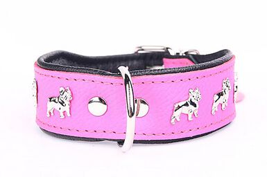 Yogipet - Collier Bouledogue Français Cuir pour Chien - Rose