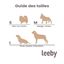Leeby - Donut Mouton pour Chiens - M Indicateur image num&eacute;ro 13
