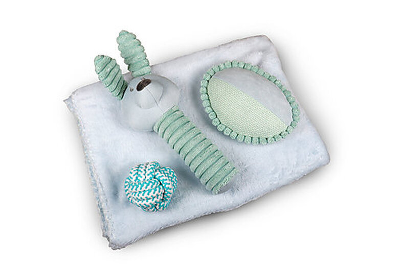 Tootoy! - Coffret Jouets Chiot Image numéro 1 Tootoy! - Coffret Jouets Chiot Image numéro 1