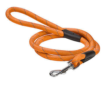 Bobby - Laisse Walk Orange pour Chiens