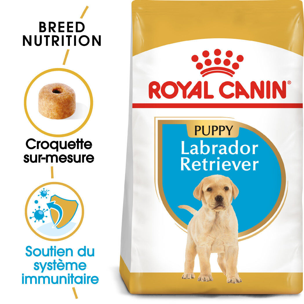 Royal Canin - Croquettes PUPPY LABRADOR RETRIEVER CHIOT - 3KG Image num&eacute;ro 1