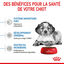 Royal Canin - Croquettes Medium Puppy pour Chiot - 12Kg Indicateur image numéro 4