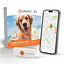Weenect - Traceur GPS L/XL Edition 2023 pour Chiens - Blanc Indicateur image num&eacute;ro 1