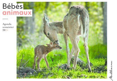 Agenda semainier 2024 - B&eacute;b&eacute;s animaux Image num&eacute;ro 1