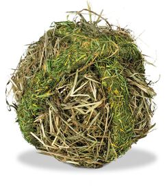 Rongis - BOULE DE FOIN pour rongeurs - 125g