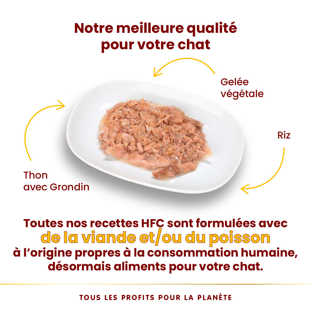 Almo Nature - P&acirc;t&eacute;e HFC Jelly Thon avec Grondin pour Chats - 70g Image num&eacute;ro 3