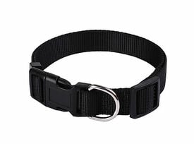 Animalis - Collier Basic pour Chien Noir