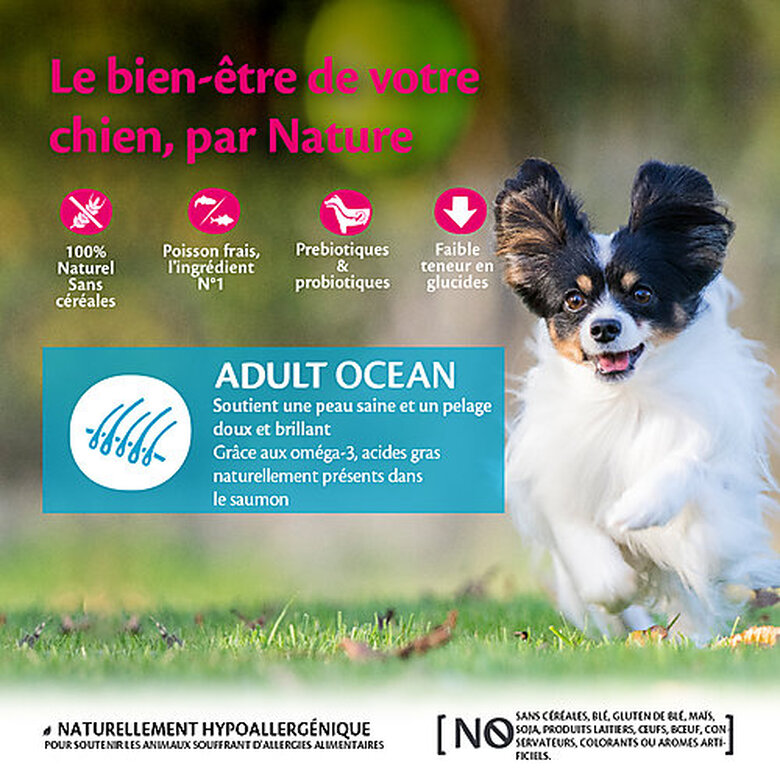 Wellness CORE - Croquettes Océan au Saumon pour Chien Petite Race - 1,5Kg image number null
