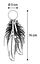 Flamingo - Jouet Boleo Balle pour Chats - 14cm Indicateur image numéro 3