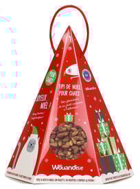 Wouapy - Tipi Surprise de Noël pour Chat