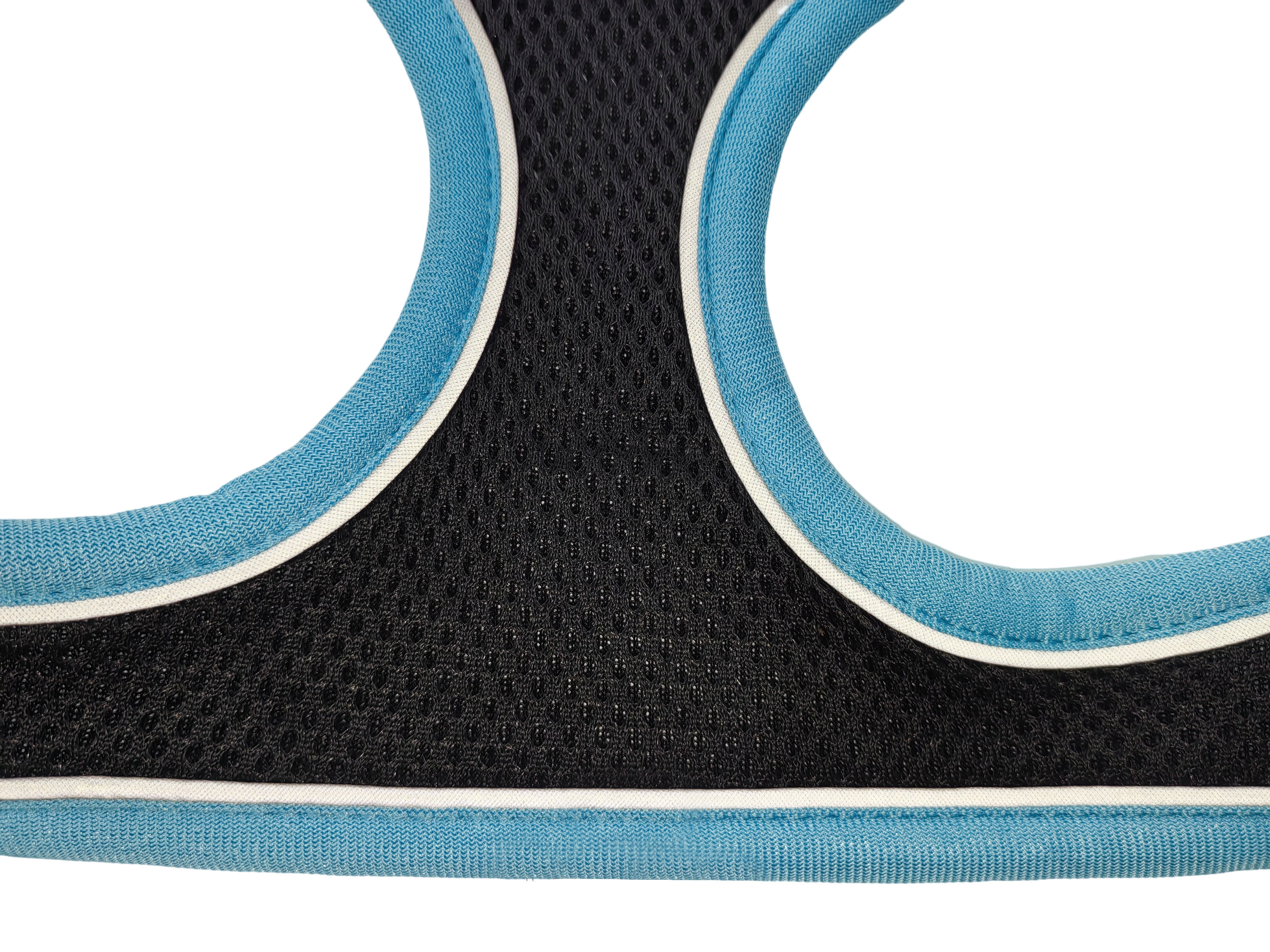 Gotoo - Harnais en Mesh Turquoise pour Chien - XS Image num&eacute;ro 4