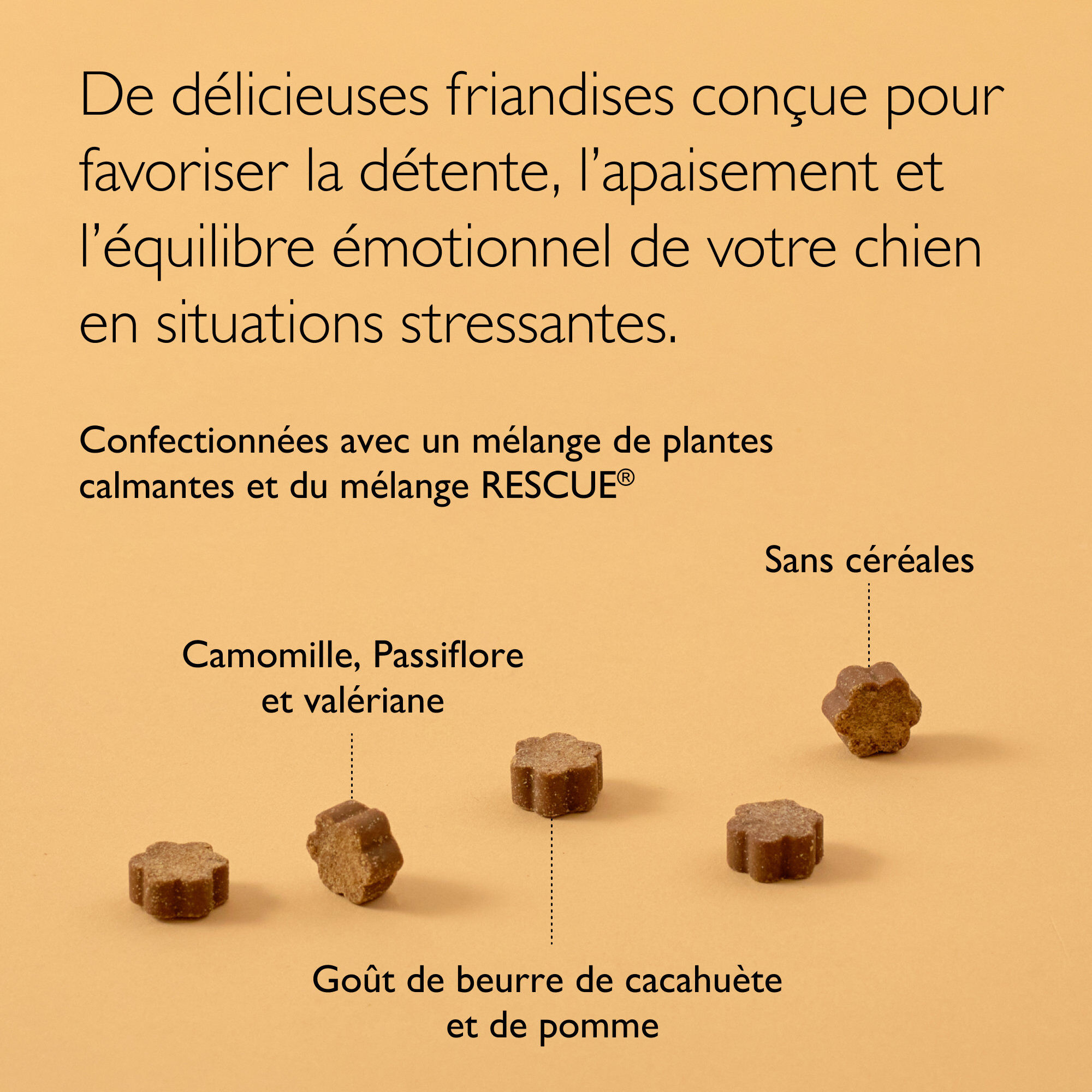 Rescue Pets - Friandises Relaxantes pour chiens - 160g Image num&eacute;ro 5