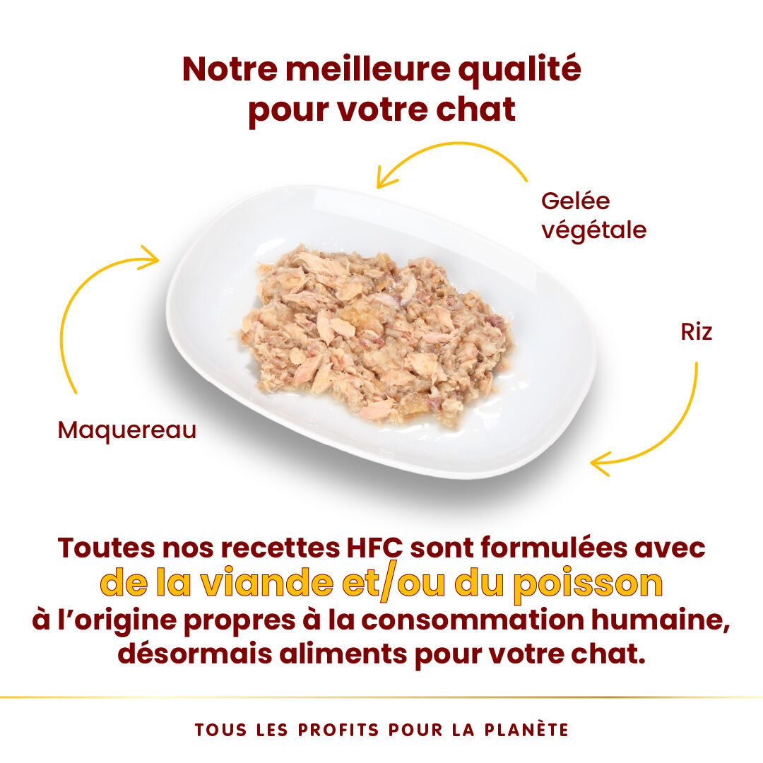 Almo Nature - P&acirc;t&eacute;e en Bo&icirc;te HFC Jelly Maquereau pour Chat - 70g Image num&eacute;ro 3