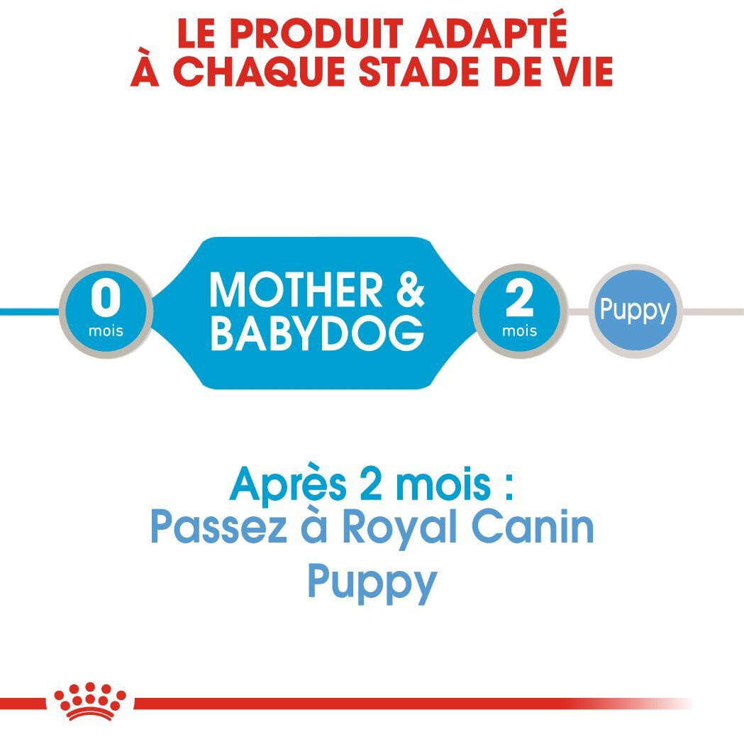 Royal Canin - Bo&icirc;te Starter Mousse Mother & Babydog en Pat&eacute;e pour Chien - 195g Image num&eacute;ro 3