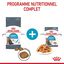 ROYAL CANIN -  SACHET FRAICHEUR URINARY EN GELEE CHAT ADULTE SANTE URINAIRE - 12x85g Indicateur image numéro 3