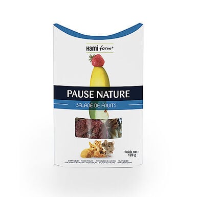 Hamiform - Pause Nature Salade de Fruits pour Rongeur - 120g