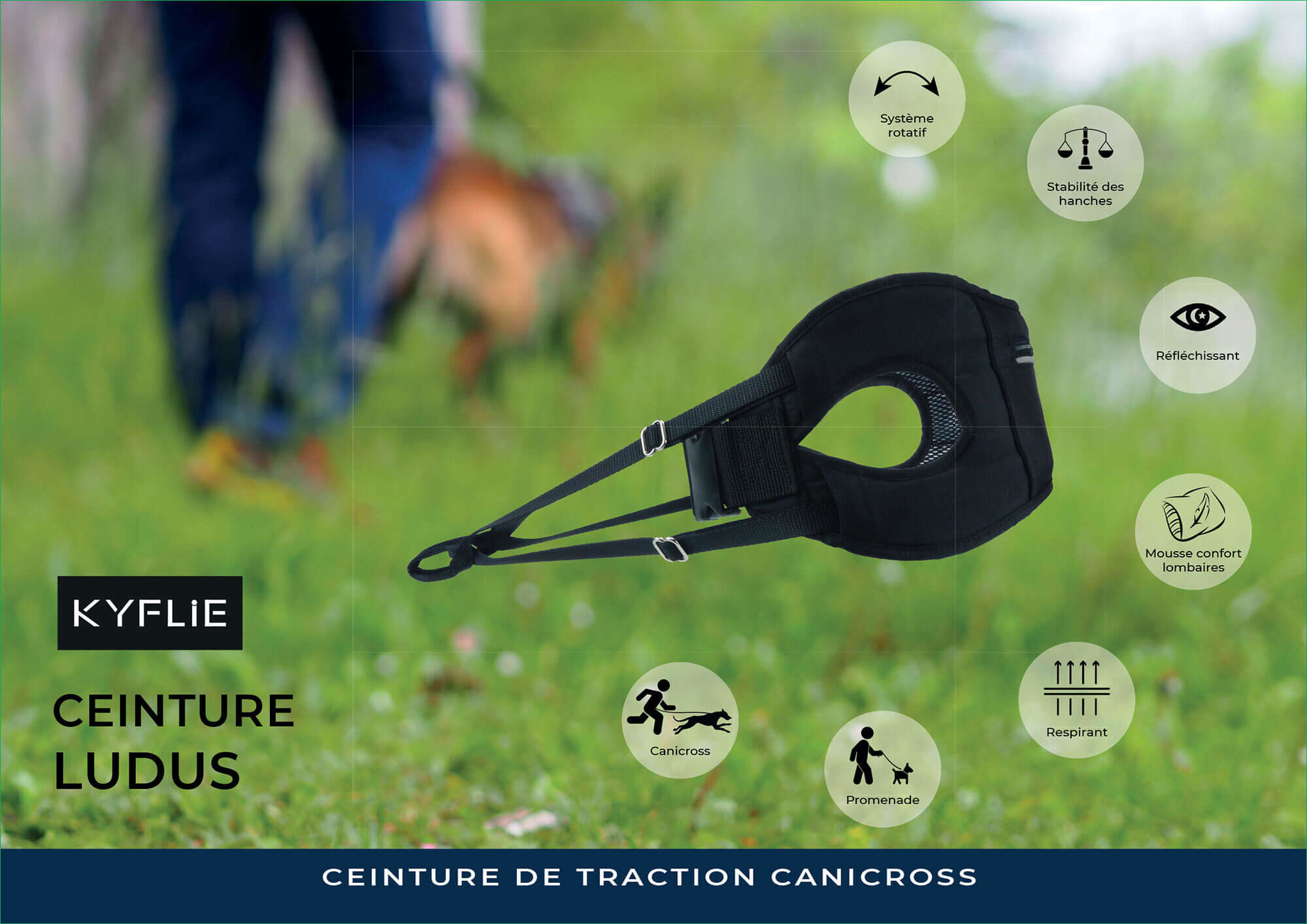 Kyflie - Ceinture de traction LUDUS Noir pour Chien Image num&eacute;ro 3