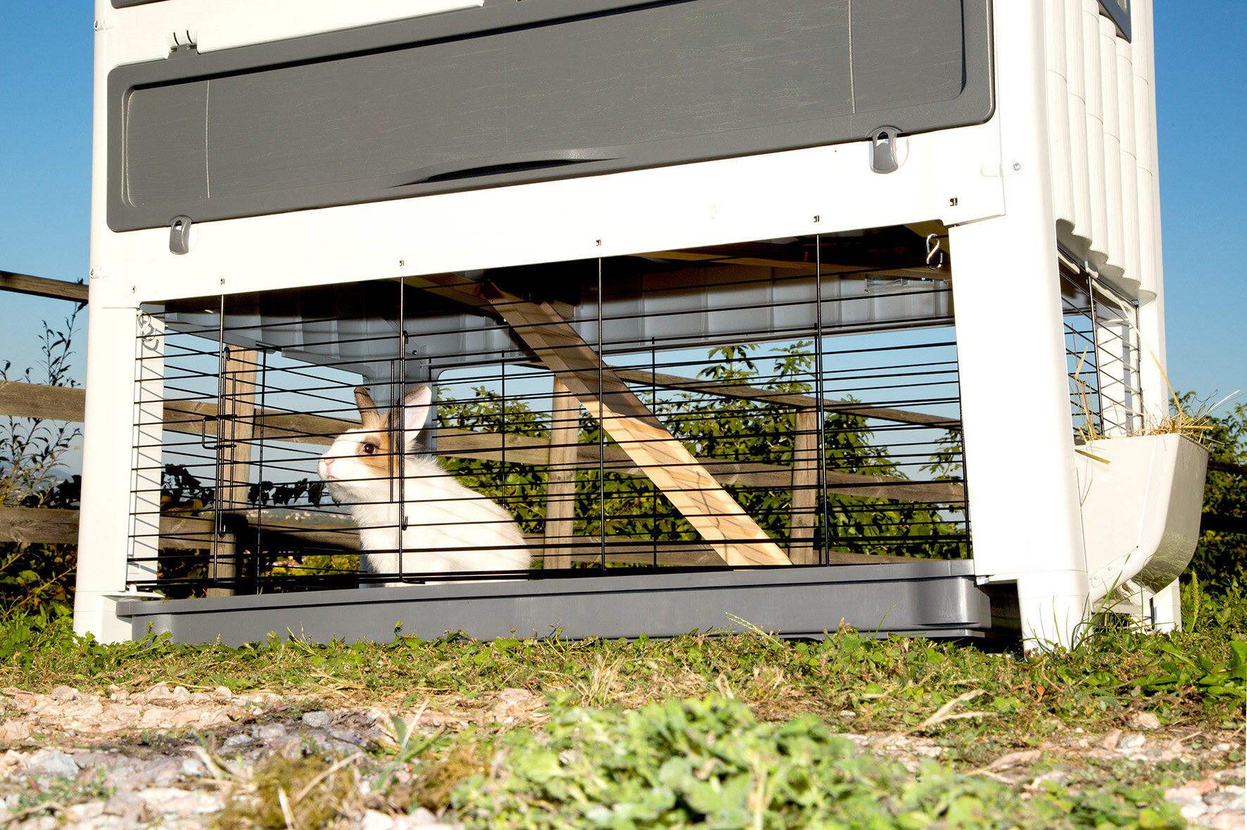 Ferplast - Clapier Grand Lodge Plus pour Rongeurs - 120 Image num&eacute;ro 15