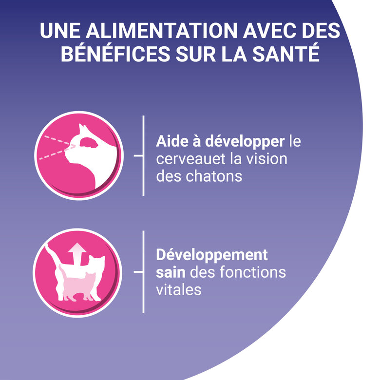 Purina One - Croquettes au Poulet et Céréales pour Chaton - 1,5Kg Image numéro 5 Purina One - Croquettes au Poulet et Céréales pour Chaton - 1,5Kg Image numéro 5