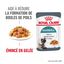 ROYAL CANIN - SACHET FRAICHEUR HAIRBALL EN GELEE CHAT ADULTE REDUCTION DES BOULES DE POILS - 12x85g Indicateur image numéro 3