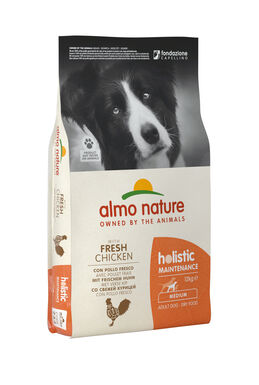 Almo Nature - Holistic Adulte Moyenne Race Poulet Frais