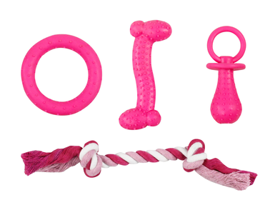 Tootoy! - Set Chiot Dentaire x4