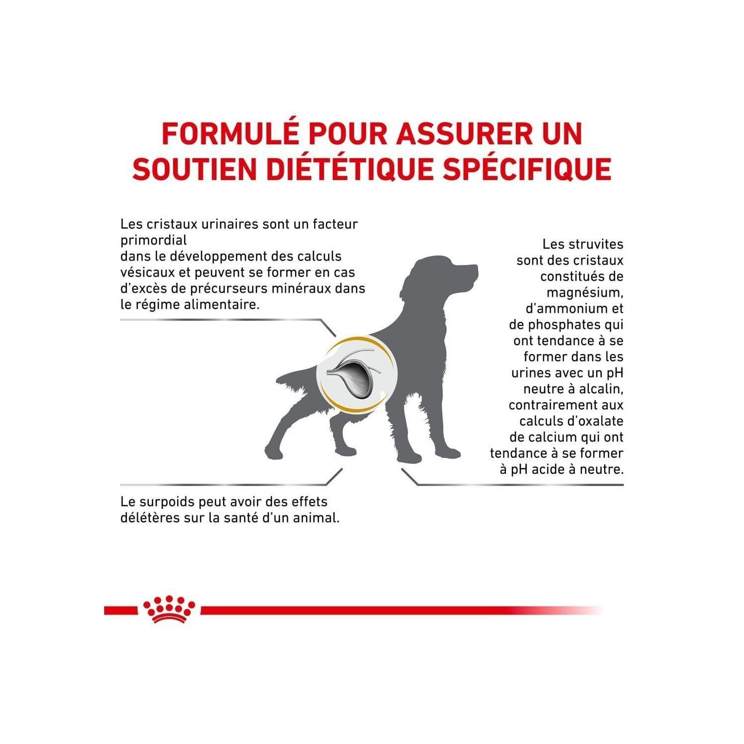 Royal Canin - Croquettes Veterinary Urinary S/O Moderate Calorie Pour Chiens - 6,5Kg Image num&eacute;ro 3