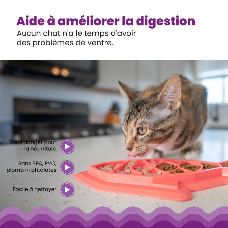 Outward Hound - Tapis d'Alimentation Fishie Fun Feed pour Chats - Rose Image num&eacute;ro 4