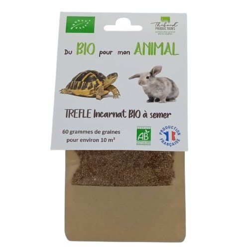 Thibaud - Tr&egrave;fle Incarnat BIO &agrave; Semer - 60g Image num&eacute;ro 1