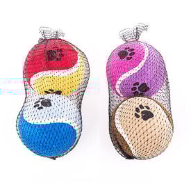 Lot de 2 Balles de Tennis pour Chien