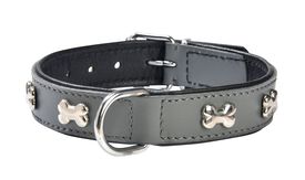 Bobby - Collier Extra Souple Rouge pour Chiens