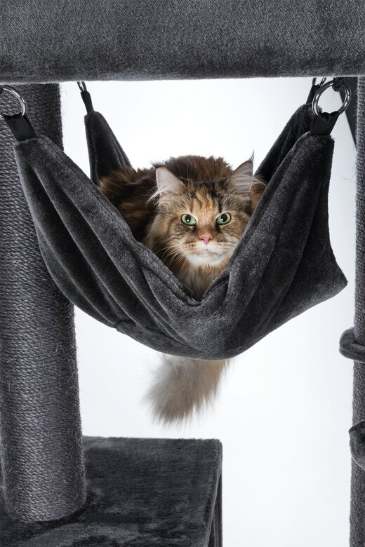 Trixie - Arbre à Chat XXL Amadeus Anthracite pour Chat - 163cm Image numéro 12 Trixie - Arbre à Chat XXL Amadeus Anthracite pour Chat - 163cm Image numéro 12