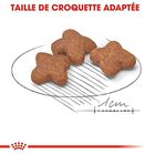 Royal Canin - Croquettes Mini 8+ pour Chien Adulte image number null