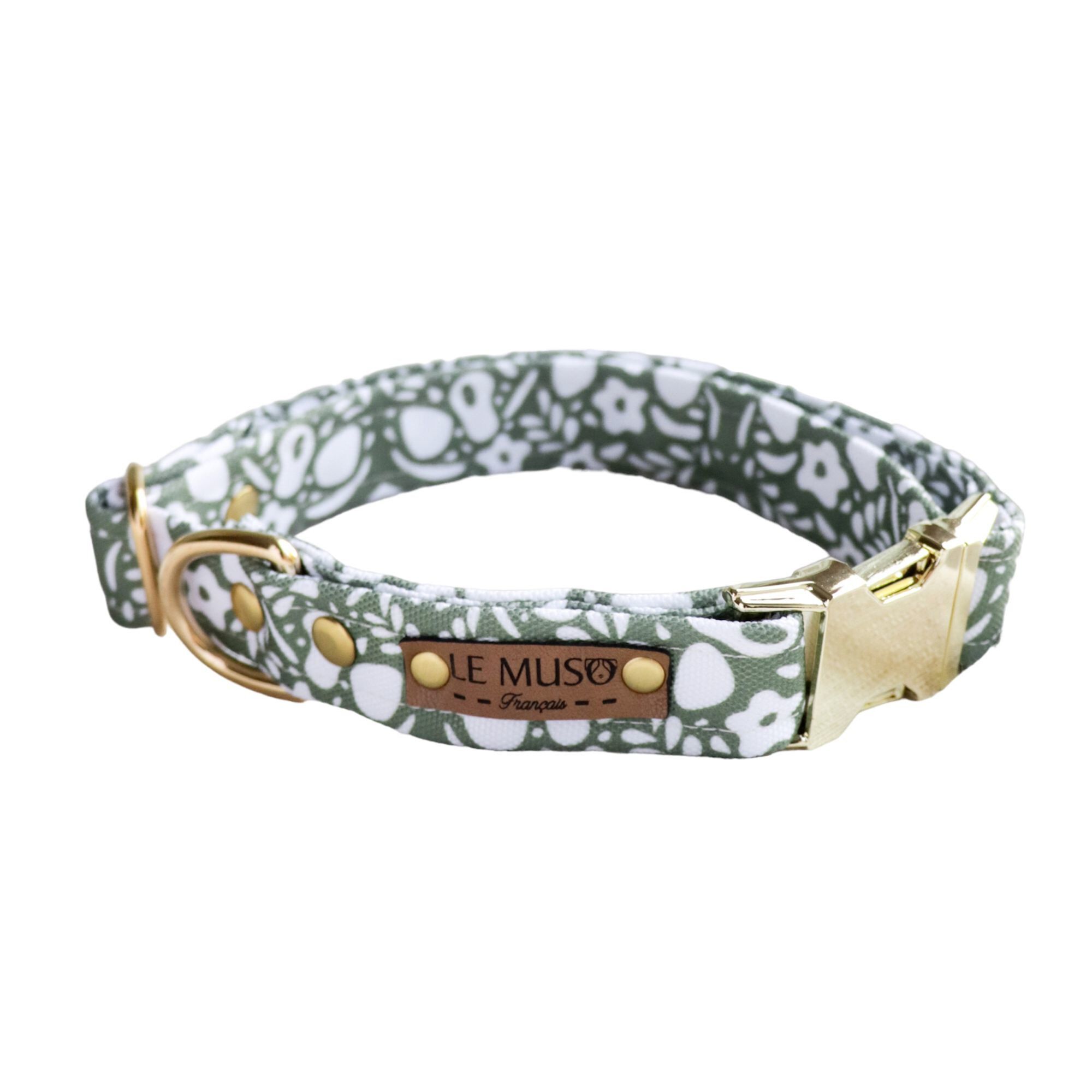 Le Muso - Collier Oscar Vert pour Chiens - XS Image num&eacute;ro 1