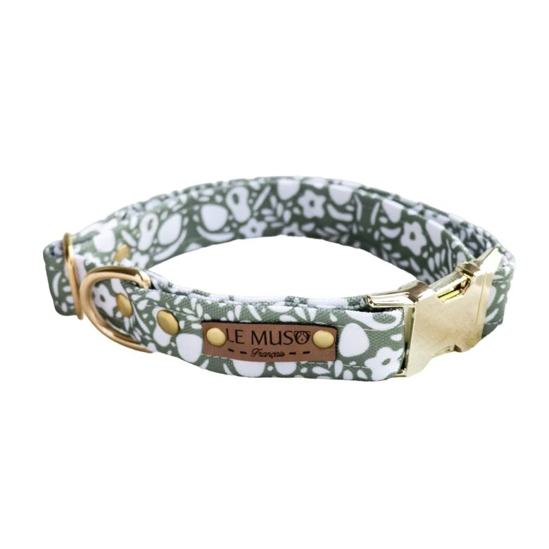 Le Muso - Collier Oscar Vert pour Chiens - XS Image numéro 1 Le Muso - Collier Oscar Vert pour Chiens - XS Image numéro 1