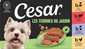 Cesar - Terrines Les Petits D&eacute;lices aux Viandes pour Chien - 4x150g