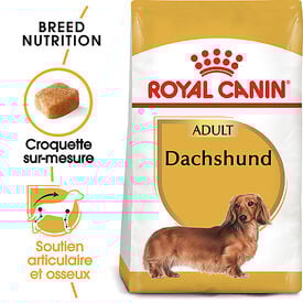 Royal Canin - Croquettes Teckel Adult pour Chien