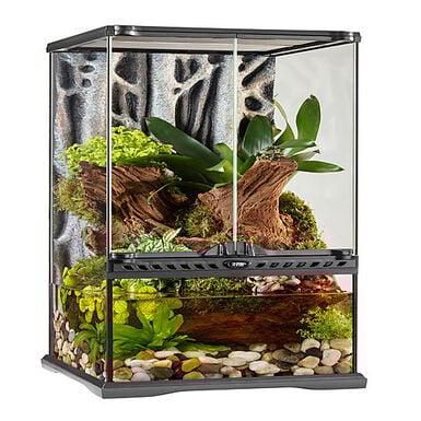 Exo Terra - Natural Paludarium - 30x30x60cm