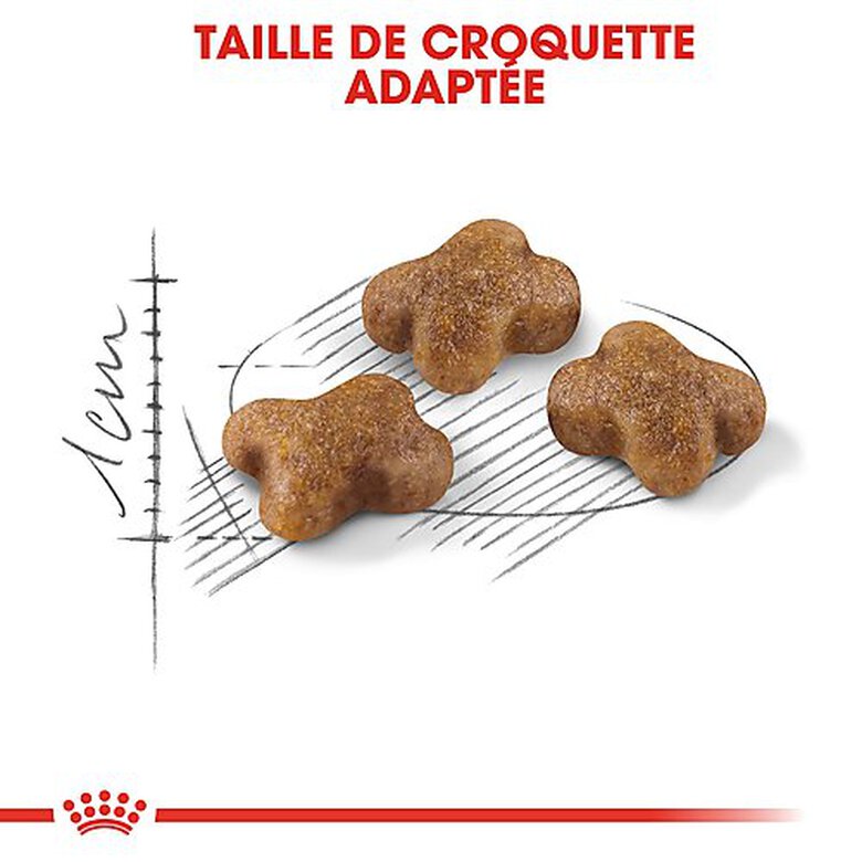 Royal Canin - Croquettes Kitten pour Chaton - 2Kg image number null
