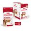 Royal Canin - Sachet Fraicheur Medium Adult En Sauce Pour Chiens - 10x140g Indicateur image numéro 3