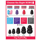 KONG - Jouet Extreme pour Chien - XL image number null