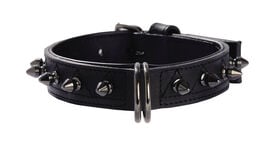 Bobby - Collier Pretty Vert pour Chiens