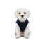Gotoo - Manteau Polaire Bicolore pour Chiens - 25cm Indicateur image num&eacute;ro 14