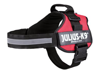Julius-K9 - Harnais Power pour Chien Rouge