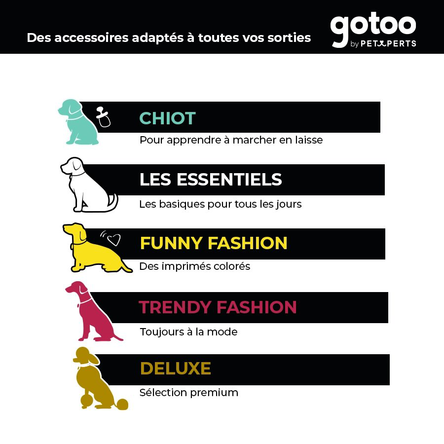 Gotoo - Collier Essentials en Nylon Premium Gris pour Chien - XS Image num&eacute;ro 8